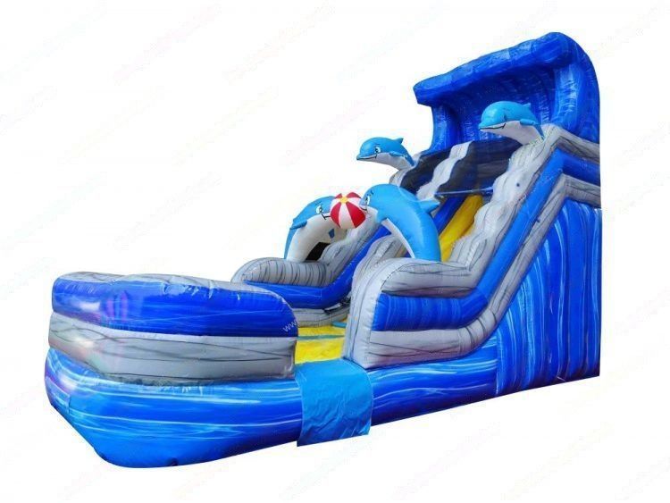 The Dolphin Plunge Water Slide