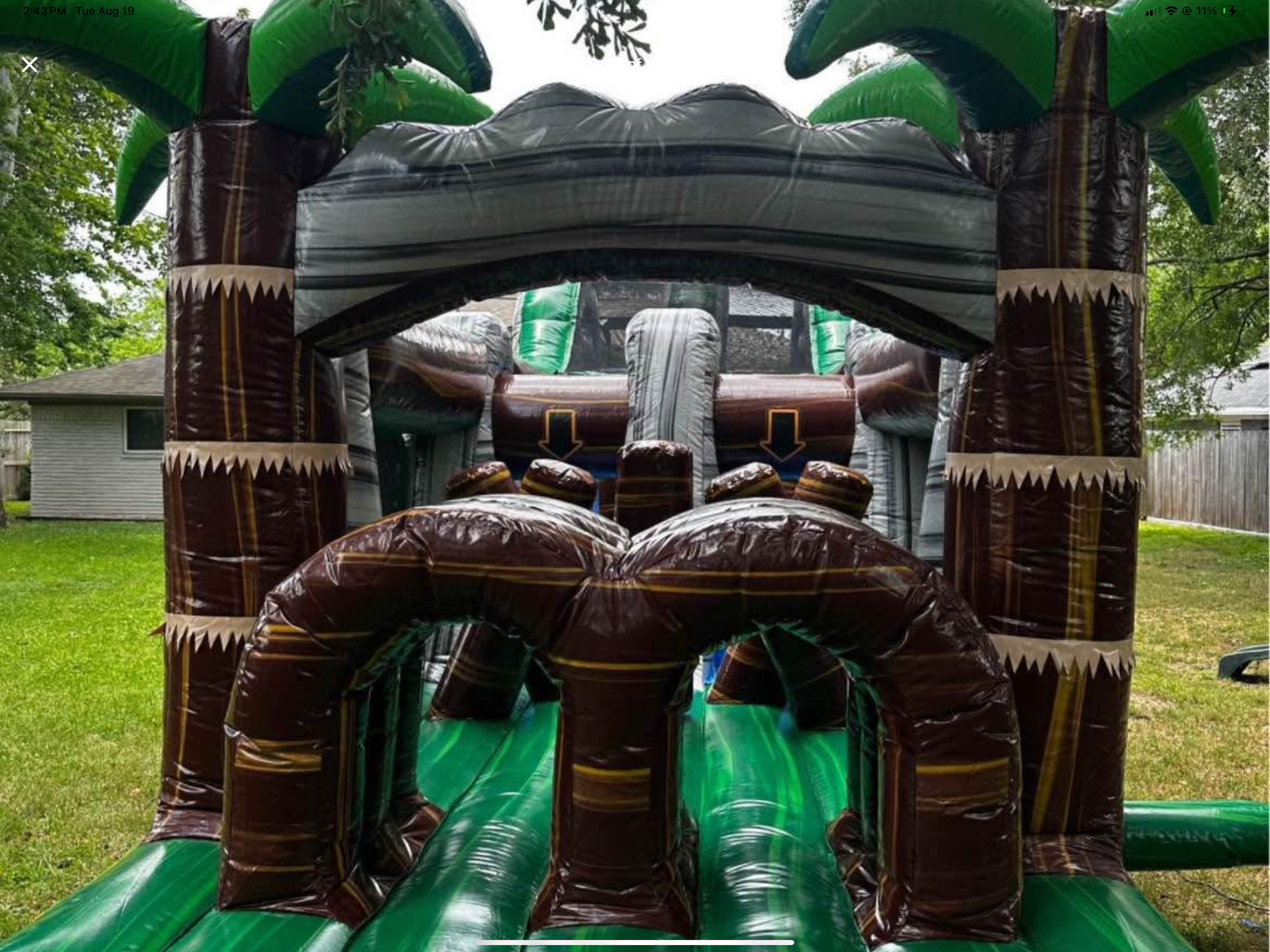 Tropical Rainforest Obstacle Course
