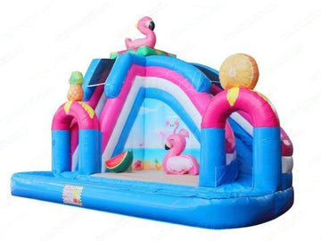 Flamingo Water Slide Pool