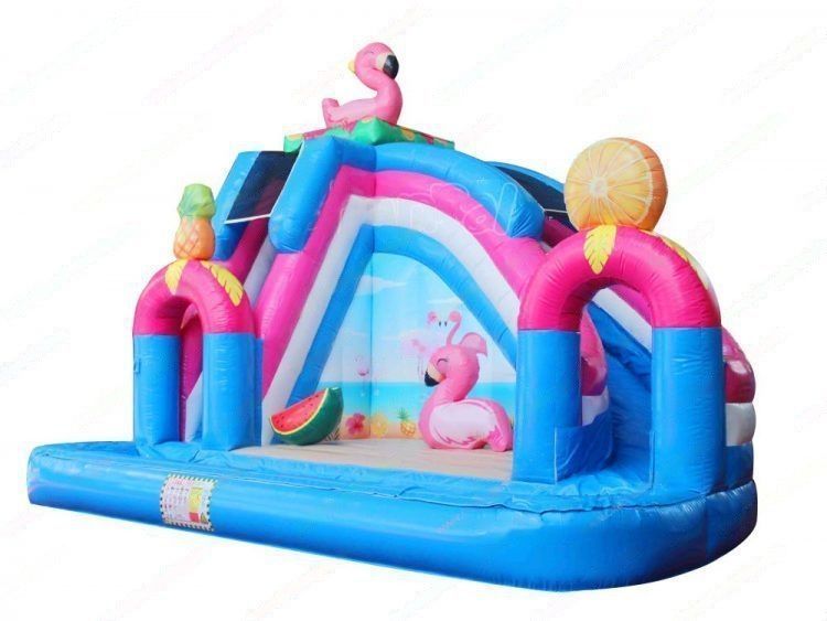 Flamingo Water Slide Pool